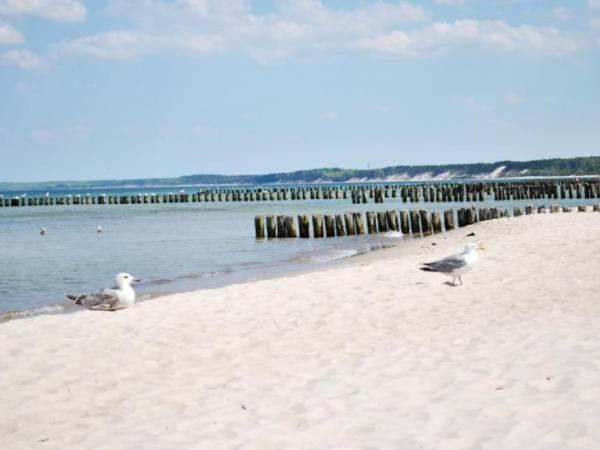 Aquarius Baltico Apartment Ustka Zewnętrze zdjęcie